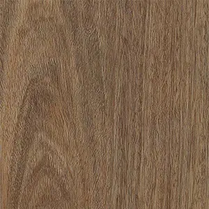 Spotted Gum