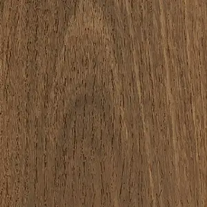 Eastern Spotted Gum