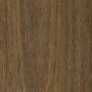 Ember Spotted Gum