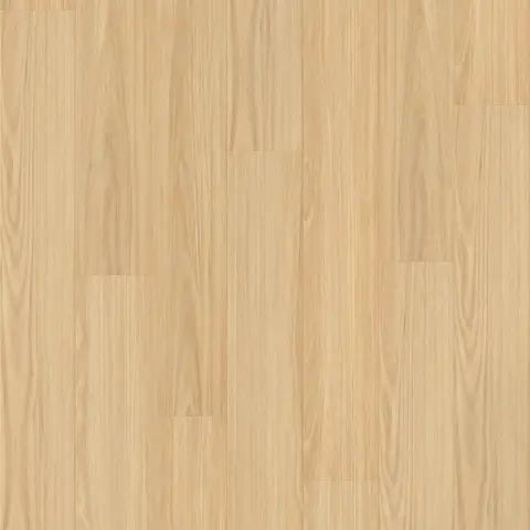 New England Blackbutt