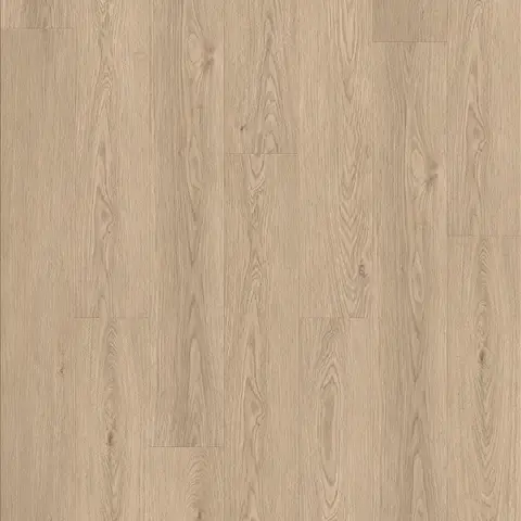 Tan Oak