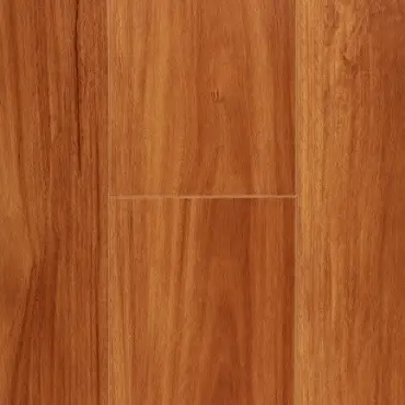 Sydney Blue Gum