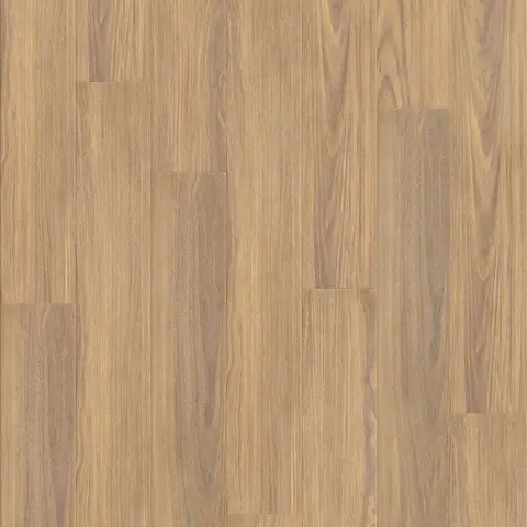 Spotted Gum