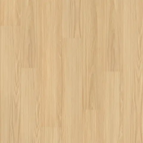 Light Blackbutt