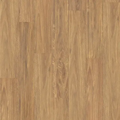Spotted Gum