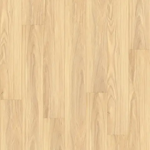 Coastal Blackbutt