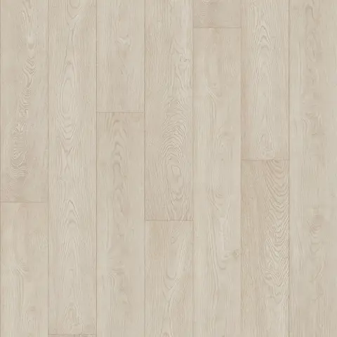 Maple