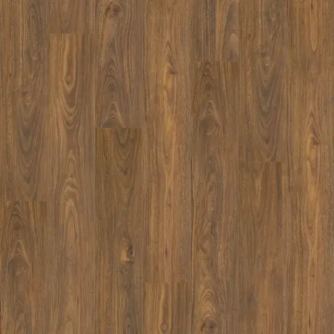 Spotted Gum