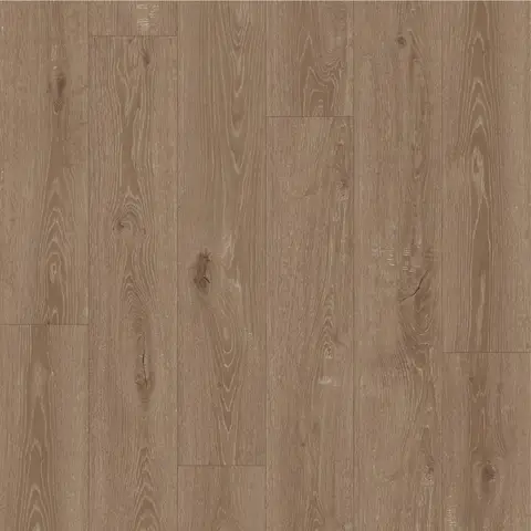 Manilla Oak