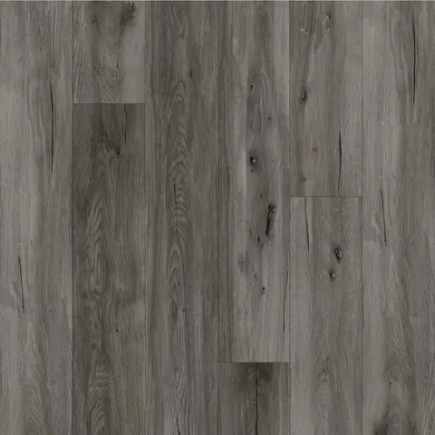 Wayward Grey