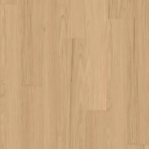 Blackbutt