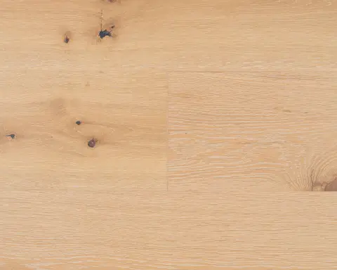 Dusk Wood