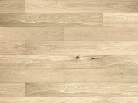Harmony Oak