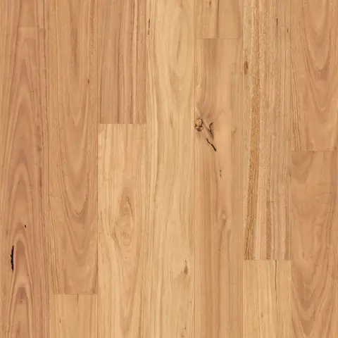 Blackbutt (Smooth Matte)