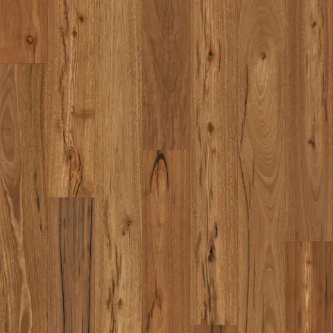 Rustic Spotted Gum (Brushed Matte)