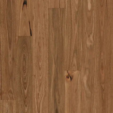 Evergreen Australian 14/3, Spotted Gum (Brushed Matte)