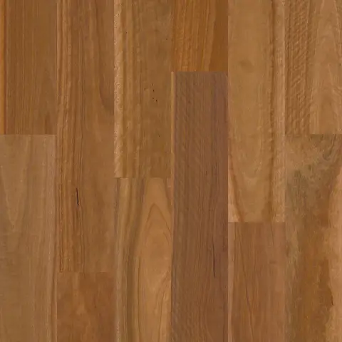 Spotted Gum
