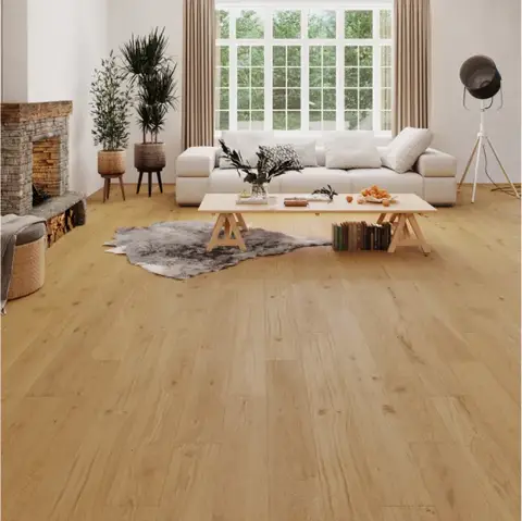 European Oak