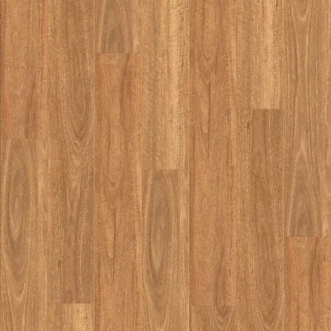 Spotted Gum