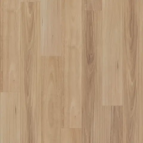Light Blackbutt