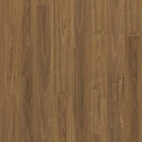 Spotted Gum