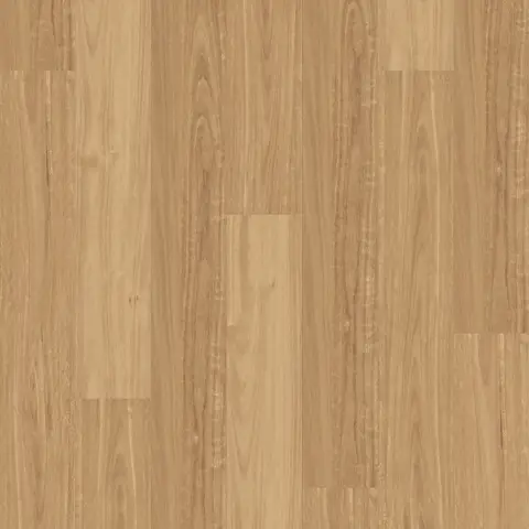 Light Blackbutt