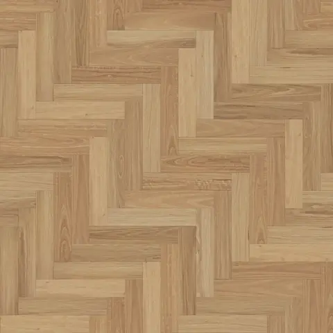 Light Blackbutt