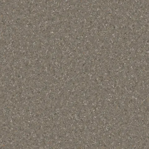 Snapperrocks