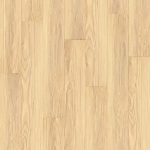Select Blackbutt