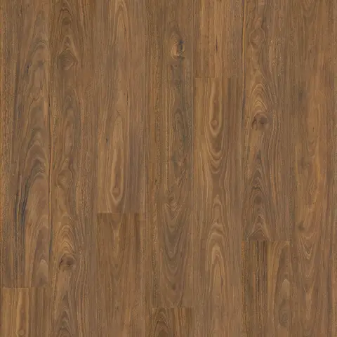 Spotted Gum