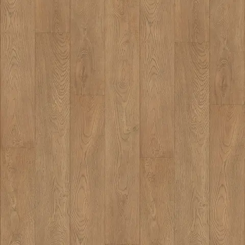 Sunset Oak