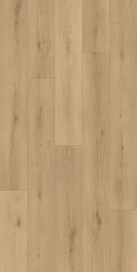 Elegance Install
