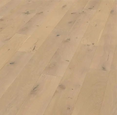 Sunlit Sand