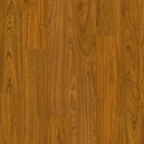 Spotted Gum