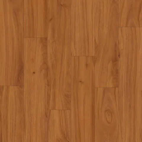 Brushbox