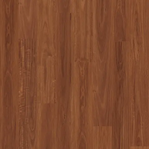 Jarrah
