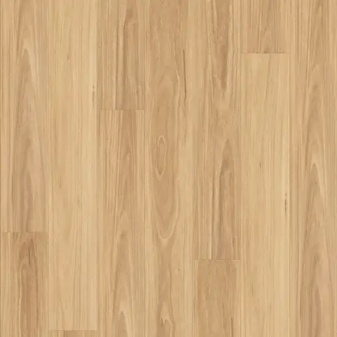 Blackbutt