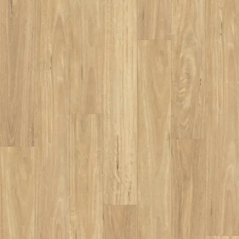 Select Blackbutt