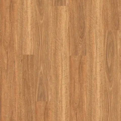 Spotted Gum
