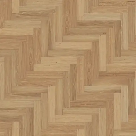 Neutral Blackbutt