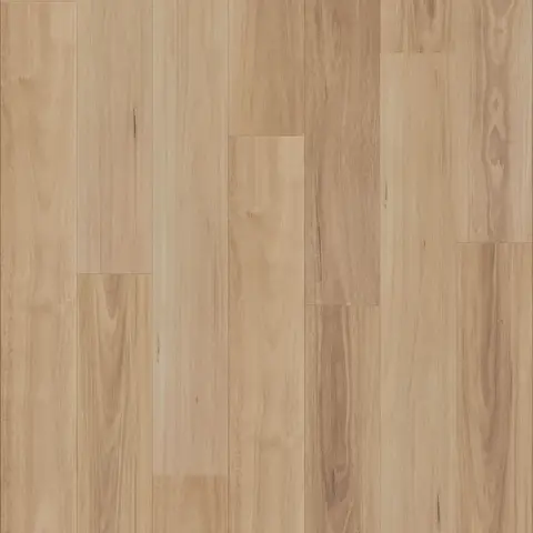 Neutral Blackbutt
