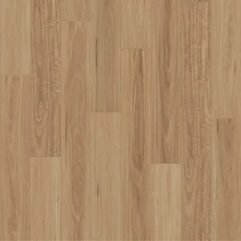 Warm Blackbutt