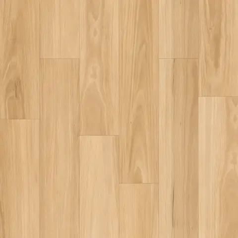 Blackbutt
