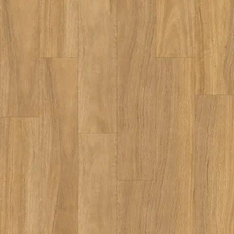 Light Spotted Gum