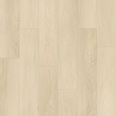 Neutral Beige
