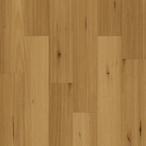 Tasmanian Oak