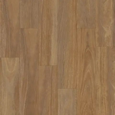Warm Spotted Gum