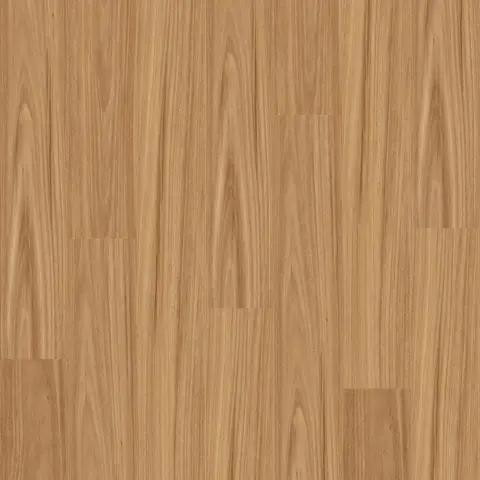 Mountain Blackbutt
