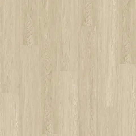 Neutral Beige