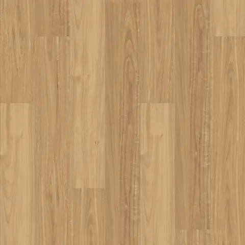 Neutral Blackbutt